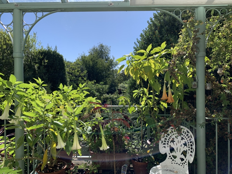 Pegwell & West Cliff Gardens
